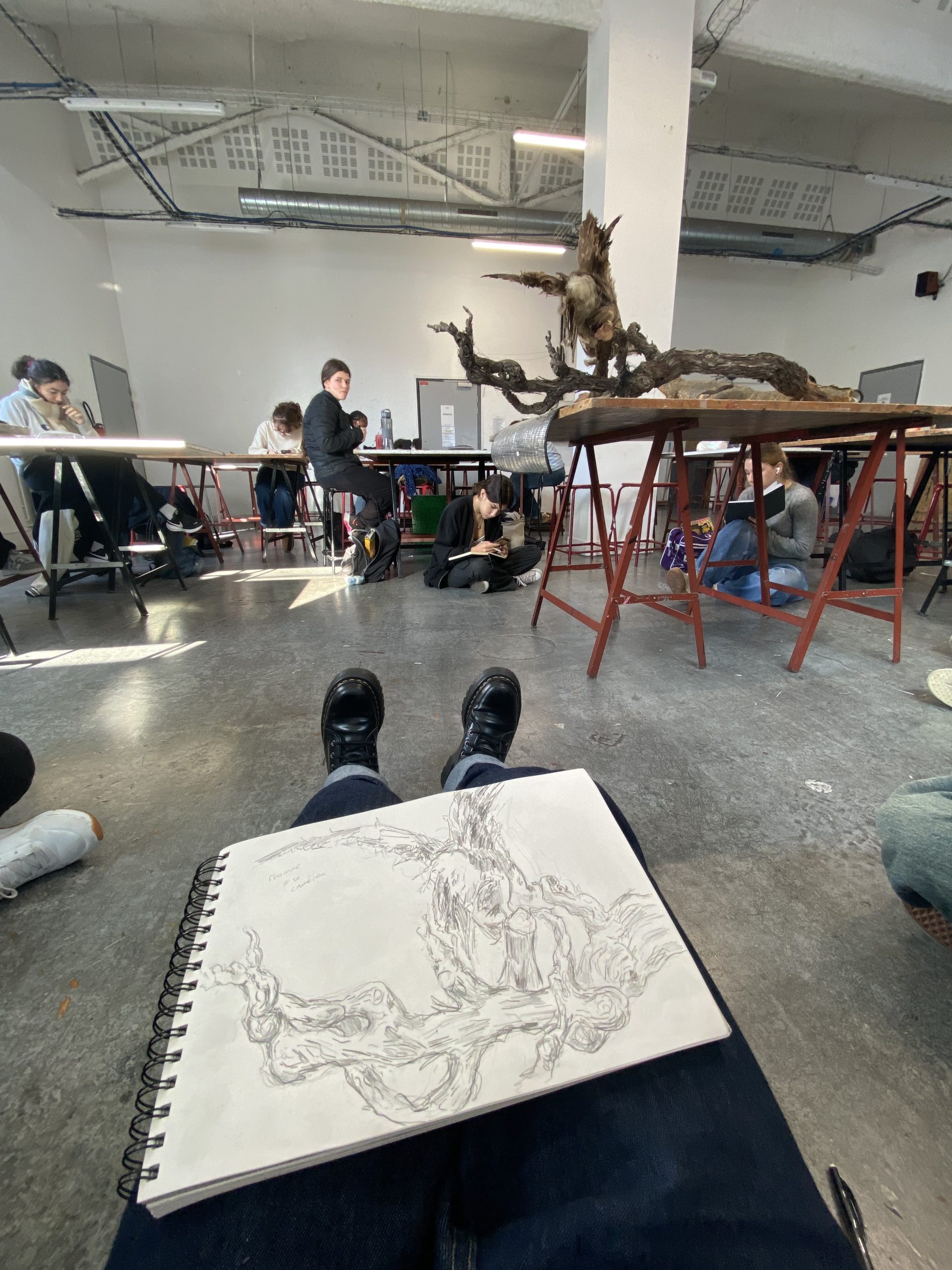 Sedef’in Üniversite Yolculuğu