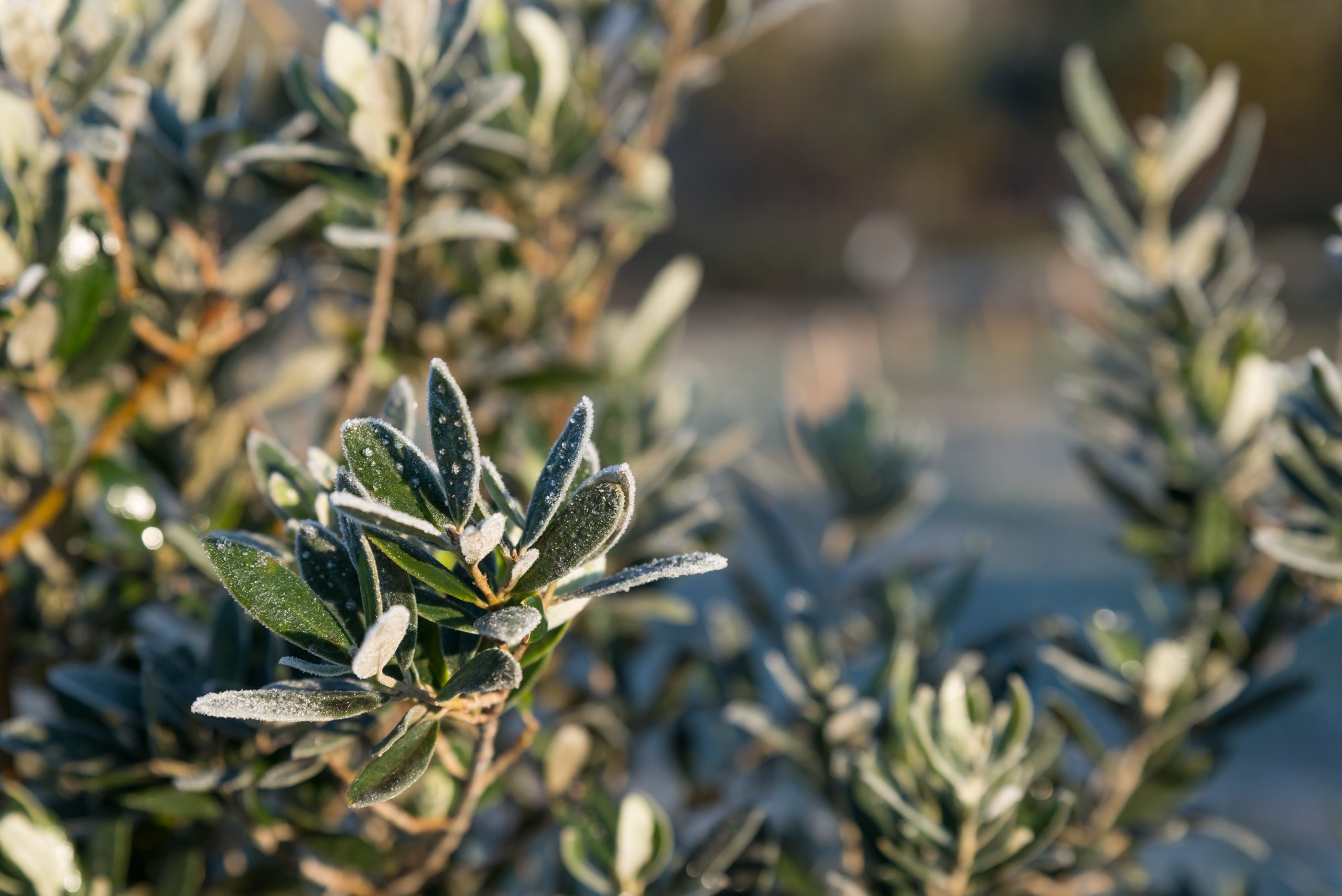 Mezunumuzdan İlham Veren Başarı Hikayesi: Banu Akbaş