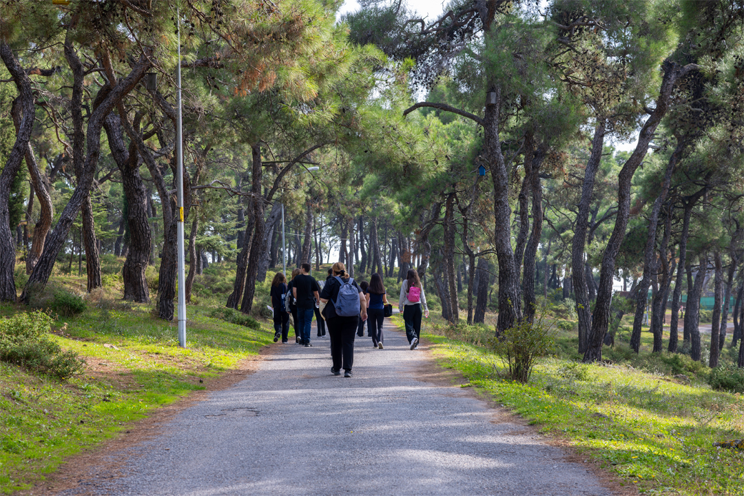 Sınıfın Dışında, Öğrenmenin İçinde: Büyükada